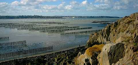 bouchots de Saint-Cast vus de Saint-Jacut de la Mer